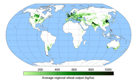 WheatYield
