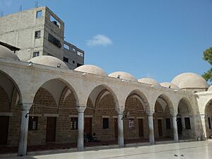 -صورة من زاوية اخرى لقباب مسجد السيد هاشم