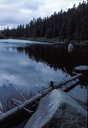 1977 North Renous River, NB, Canada