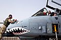 A-10 Warthog nose maintenance