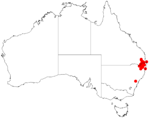 Acacia brunioidesDistMap137.png