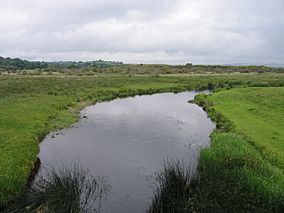 Afon Teifi a Cors Caron, Ceredigion.jpg