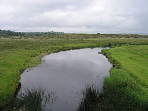 Afon Teifi a Cors Caron, Ceredigion