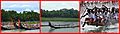 An Onam boat race collage Kerala India