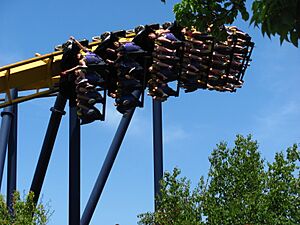 Batman The Ride at Six Flags Great America 2