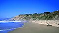Beach-Elk