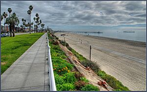 Belmont Fishing Pier (191455031)