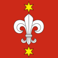 CHE Hallau Flag