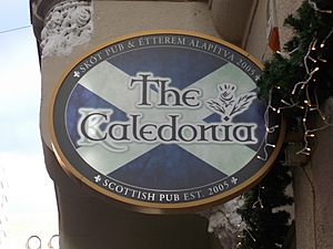 Caledonia Scottish Pub sign, 2016 Budapest