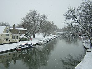 Cam River, Cambridge, UK