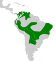 Campylorhamphus trochilirostris map