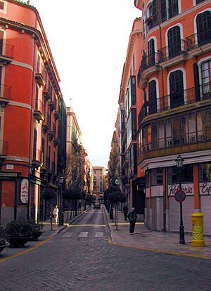 Carrer Colom