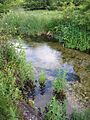 Chalkstream
