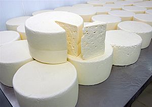 Cheese (Պանիր) 2740-2