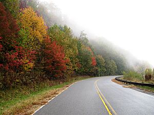 Cherohala-skyway-fall-tn1