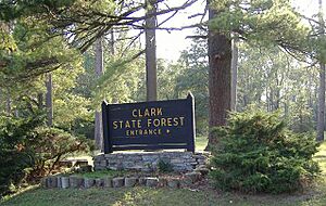 Clark SF Sign