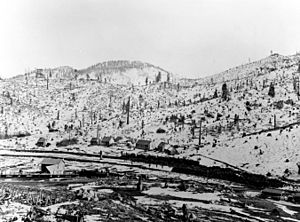 Clear-cutting of the Carson Range at Spooner Summit in 1876 with Virginia and Truckee Railroad moving lumber