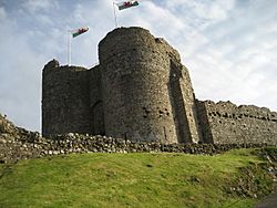 Criccieth Castle - geograph.org.uk - 597029.jpg