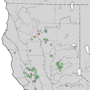 Cupressus macnabiana range map 4.png