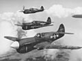 Curtiss P-40 Warhawk USAF