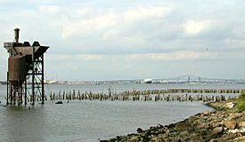 Decayed pier remnant
