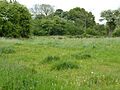 Dew's Ponds 4