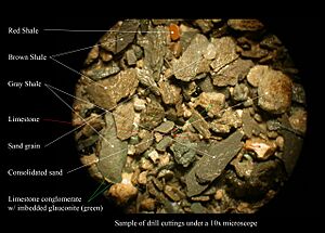 Drill cuttings - Annotated - 2004