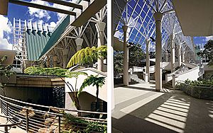 El Portal Rainforest Center, central space