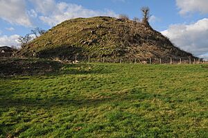 Ewyas Harold Castle (Geograph 2291636 by Philip Halling)