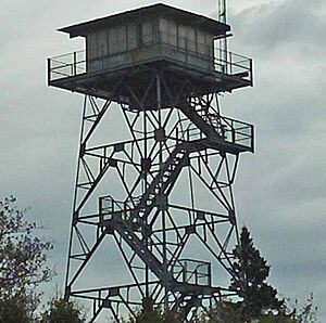 Feldtmann Fire Tower