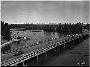 Fishing Bridge ca 1951 YNP