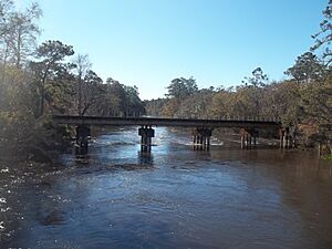 Gadsden Leon County FL Ochlockonee River rail bridge02