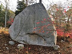 Glacial Erratic in Ledyard, CT