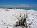 HendersonBeachStateParkShore
