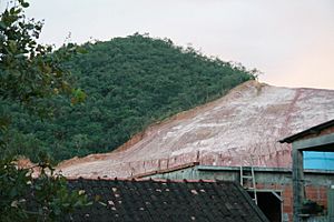 Hillside deforestation in Rio de Janeiro