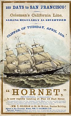 Hornetclippership