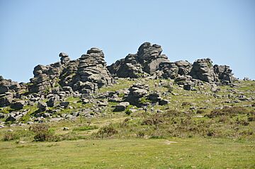 Hound Tor, Manaton (4148).jpg