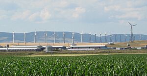 Hutterite colony in Martinsdale Montana (cropped)
