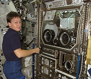 ISS-05 Peggy Whitson works near the Microgravity Science Glovebox