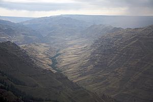 Imnaha River aerial