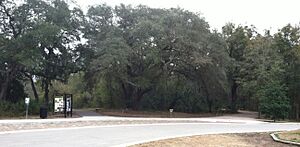JAGTrailhead