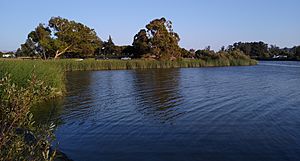 Laguna Lake 3
