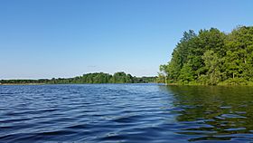 Lake Ovid, Michigan (June 2018).jpg