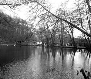 Leigh Place Pond, Godstone, Surrey - geograph.org.uk - 589351.jpg