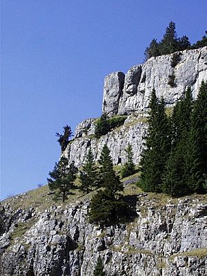 Limestone escarpment - World's End - geograph.org.uk - 27578
