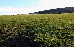 Looking towards Quanterness Farm and Wideford Hill - geograph.org.uk - 1129784.jpg