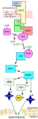 MAPKpathway diagram