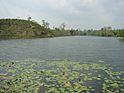 Madhobpur Lake Srimongol Sylhet Bangladesh 3.JPG