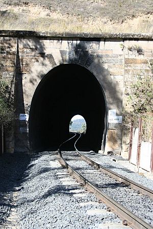 Main Range Railway - tunnel 2 down (2008).jpg