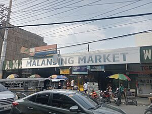 Malansing (Sangandaan) Market, Caloocan, Jun 2024